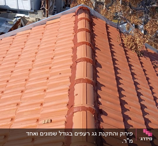 גג רעפים חום עם קו חיבור מרכזי